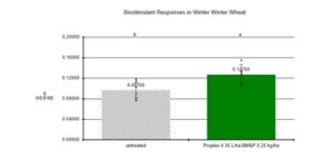 Biostimulant responses in winter wheat