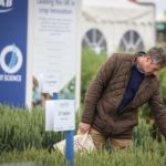 Check out the latest varieties at Cereals LIVE