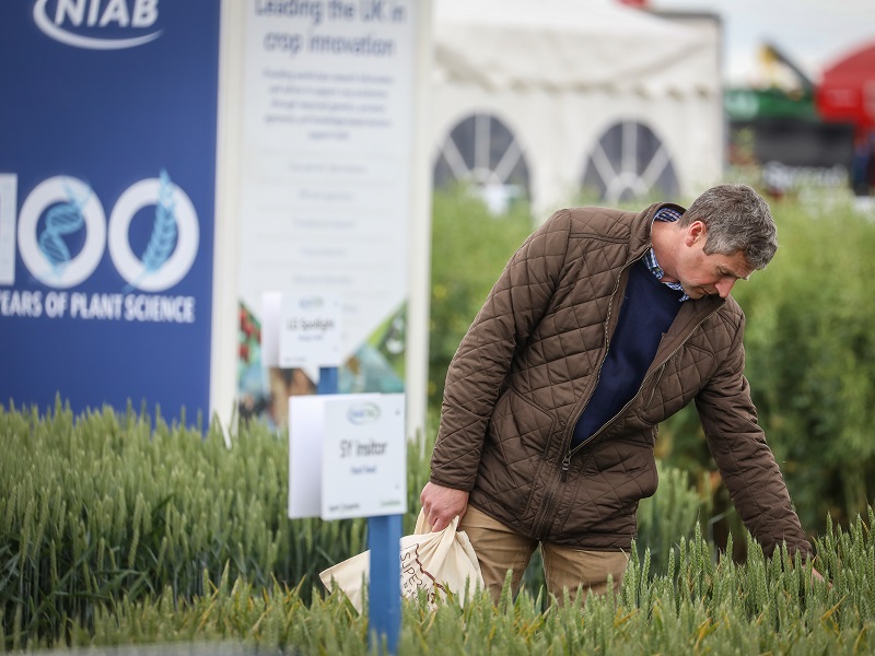 You are currently viewing Cereals 2021 returns to Lincolnshire fields