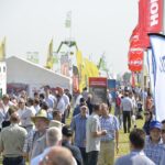 Big names are back at Cereals 2022