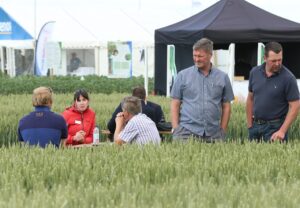 Read more about the article Bringing variety crop plots together for better comparison