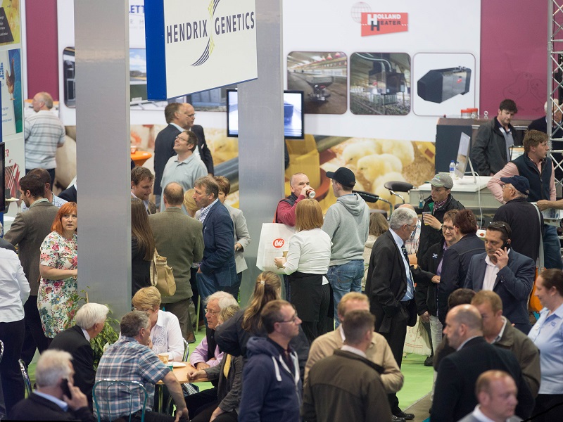 You are currently viewing 5 top reasons to visit the British Pig & Poultry Fair