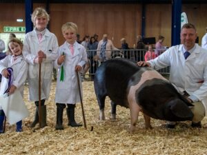 Read more about the article National Shows and livestock entries: A showring spectacle