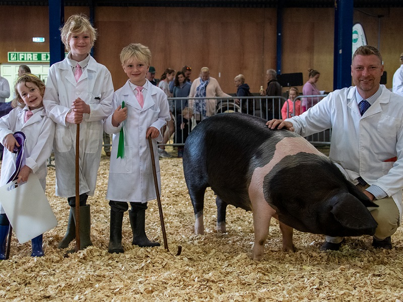 You are currently viewing National Shows and livestock entries: A showring spectacle