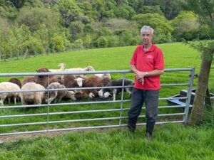 Read more about the article Breedr launches sheep recording app