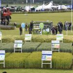 Five reasons to visit Cereals